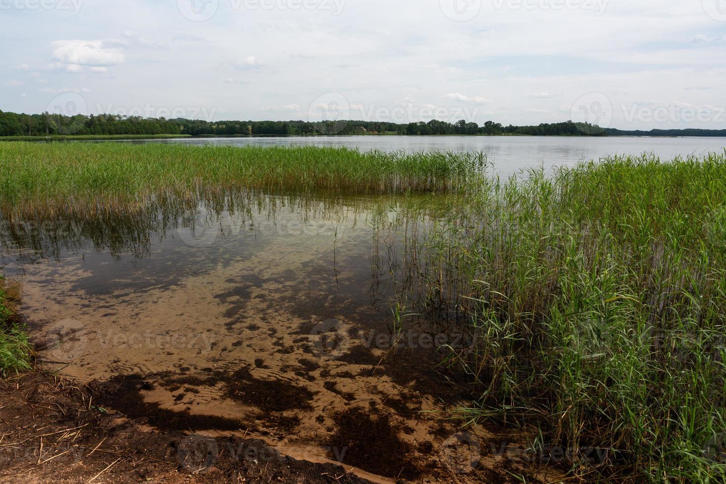 landelijk zomer landschappen in Baltisch staten foto