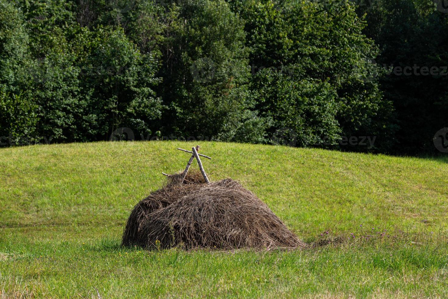 zomer landschappen in Letland foto