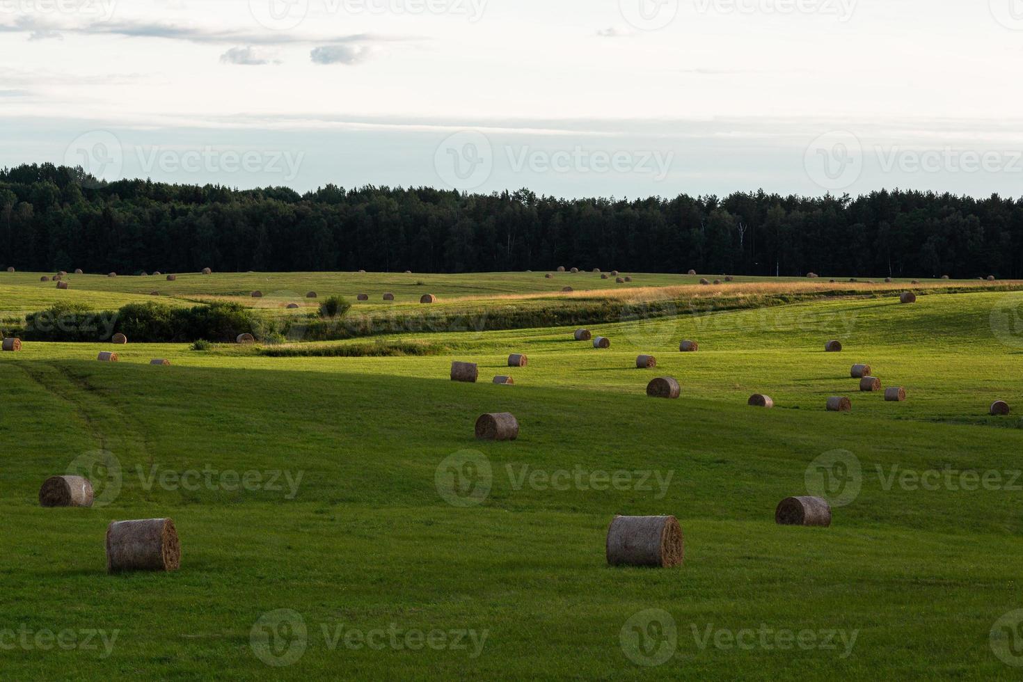 landelijk zomer landschappen in Baltisch staten foto