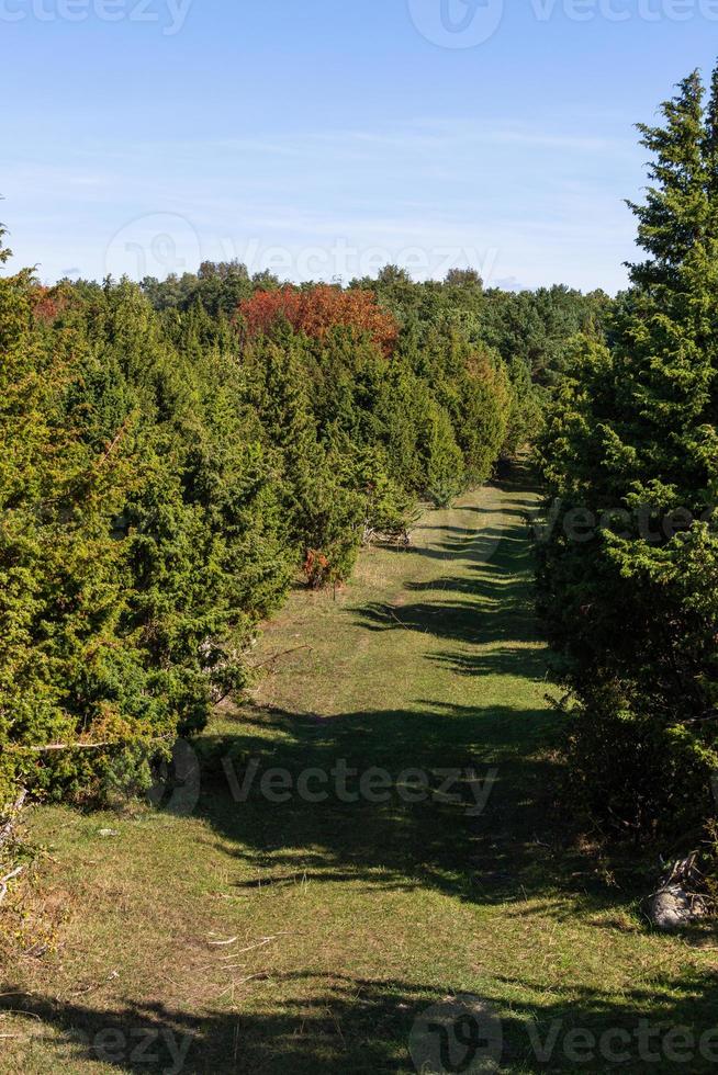 natuurlijk landschappen van de eiland van vormen foto