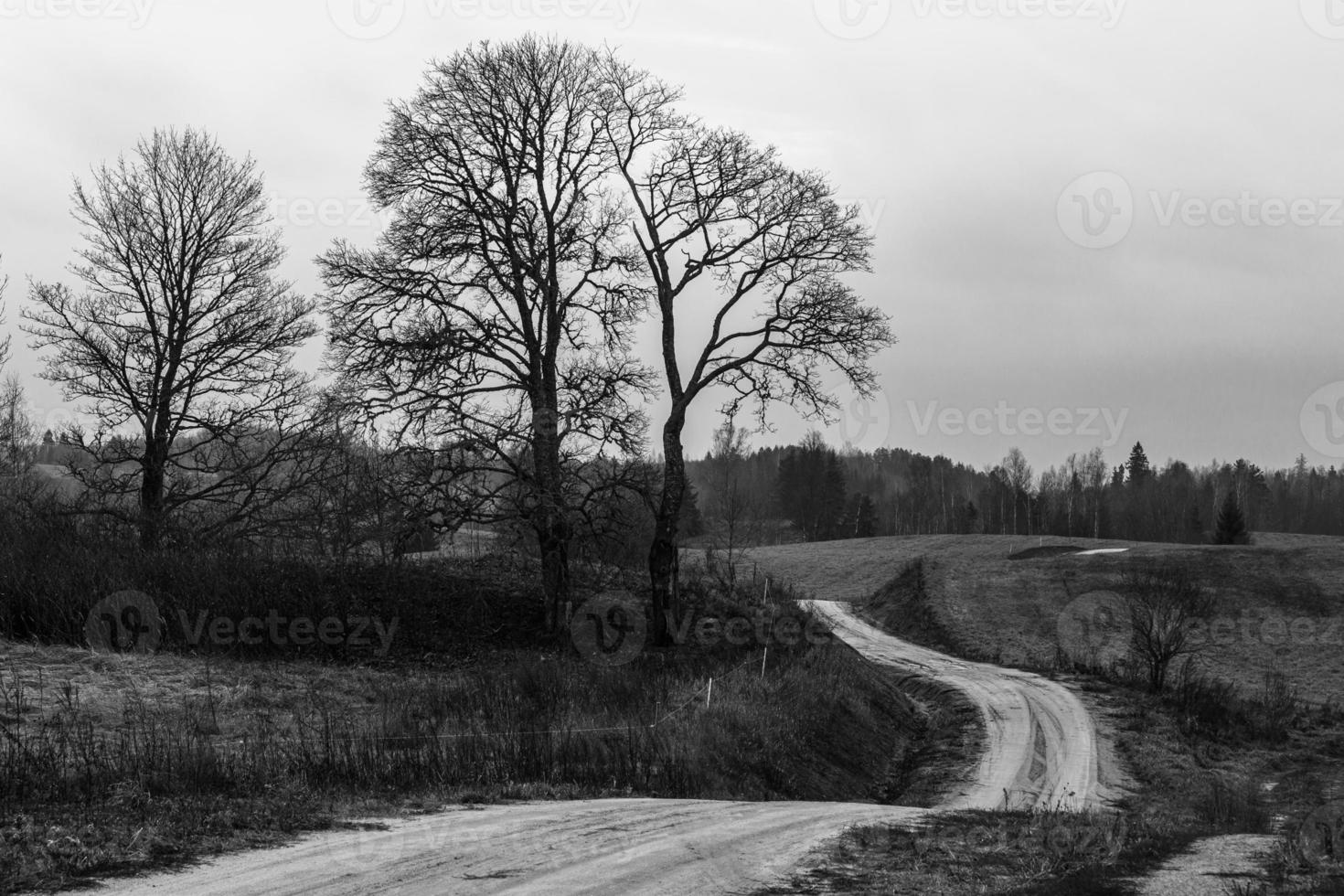 grind land weg foto