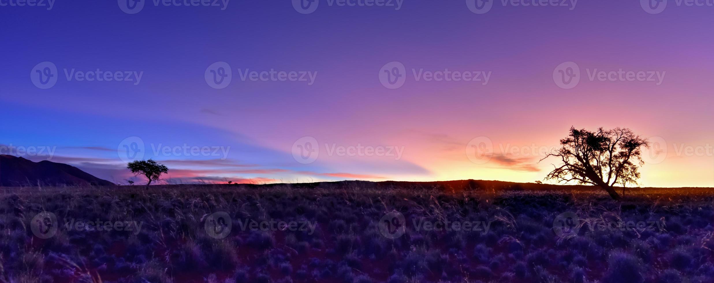 woestijn landschap - namibrand, Namibië foto