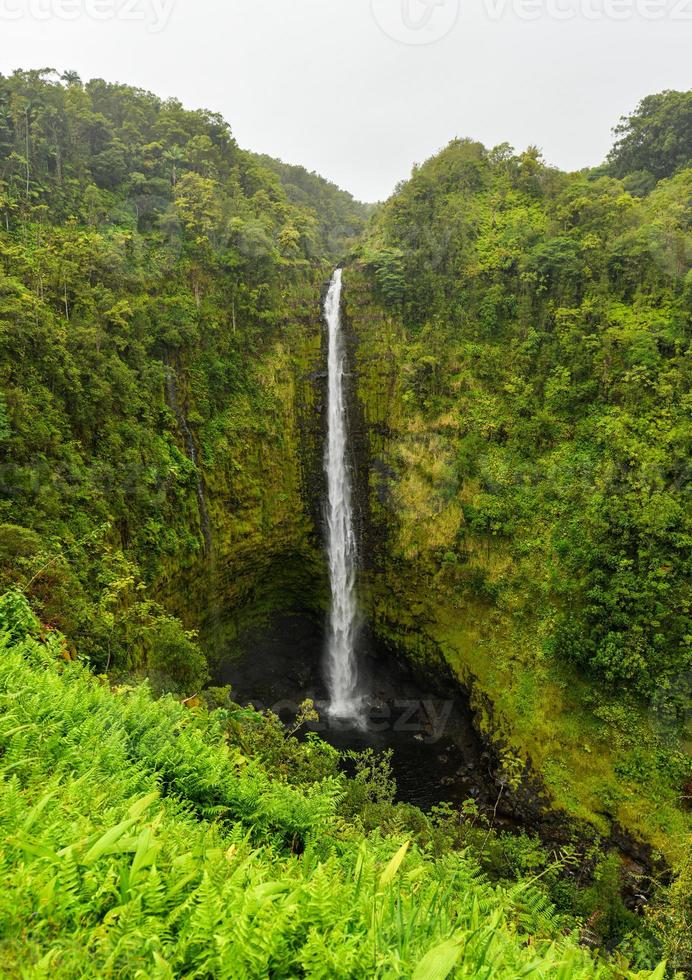 aka valt Hawaii, groot eiland foto