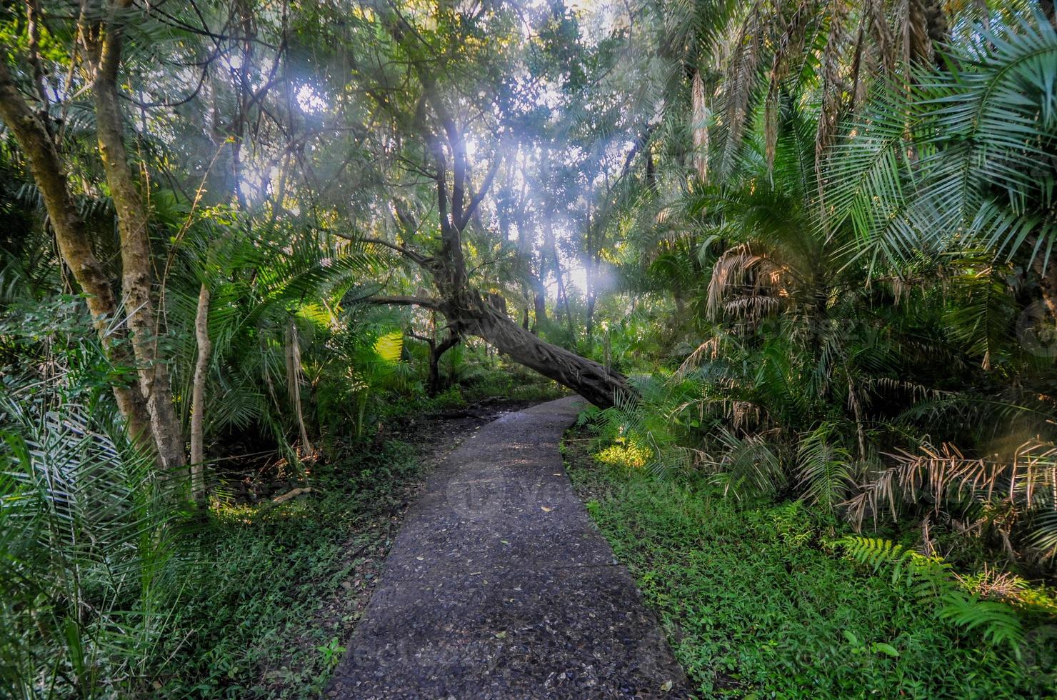 Victoria valt park, Zimbabwe foto