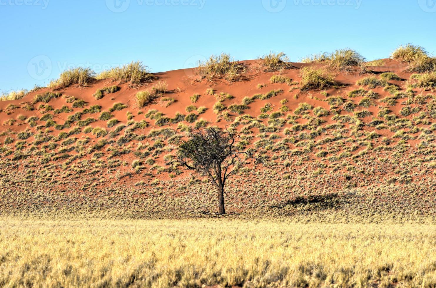 woestijn landschap - namibrand, Namibië foto