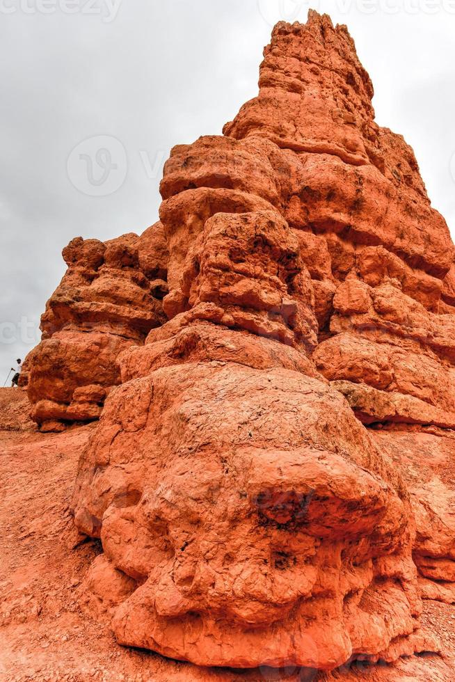 rood Ravijn Bij dixie nationaal Woud in Utah, Verenigde staten. foto