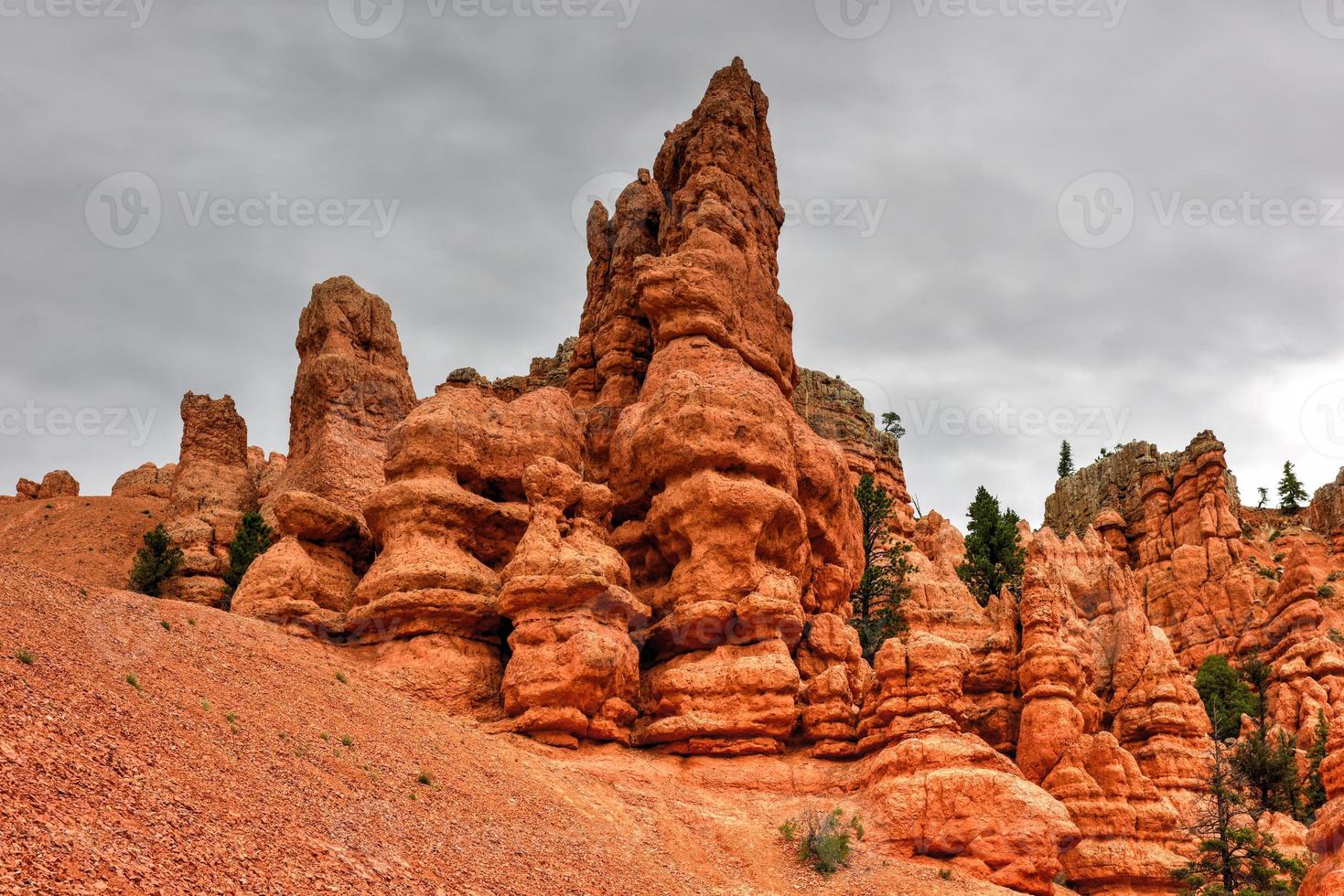 rood Ravijn Bij dixie nationaal Woud in Utah, Verenigde staten. foto