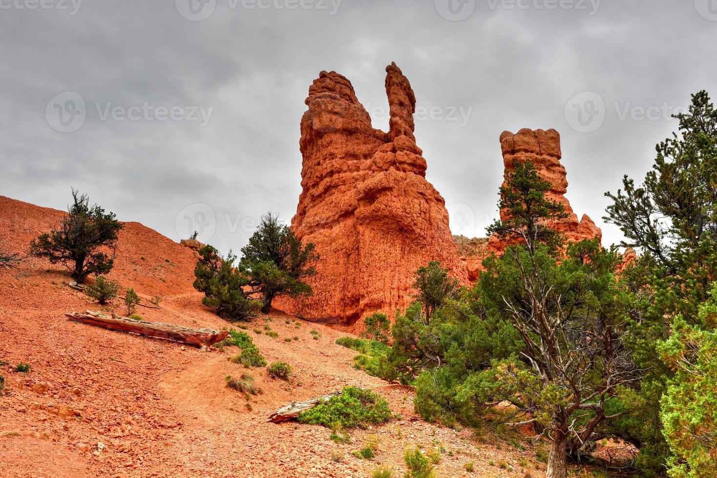 rood Ravijn Bij dixie nationaal Woud in Utah, Verenigde staten. foto