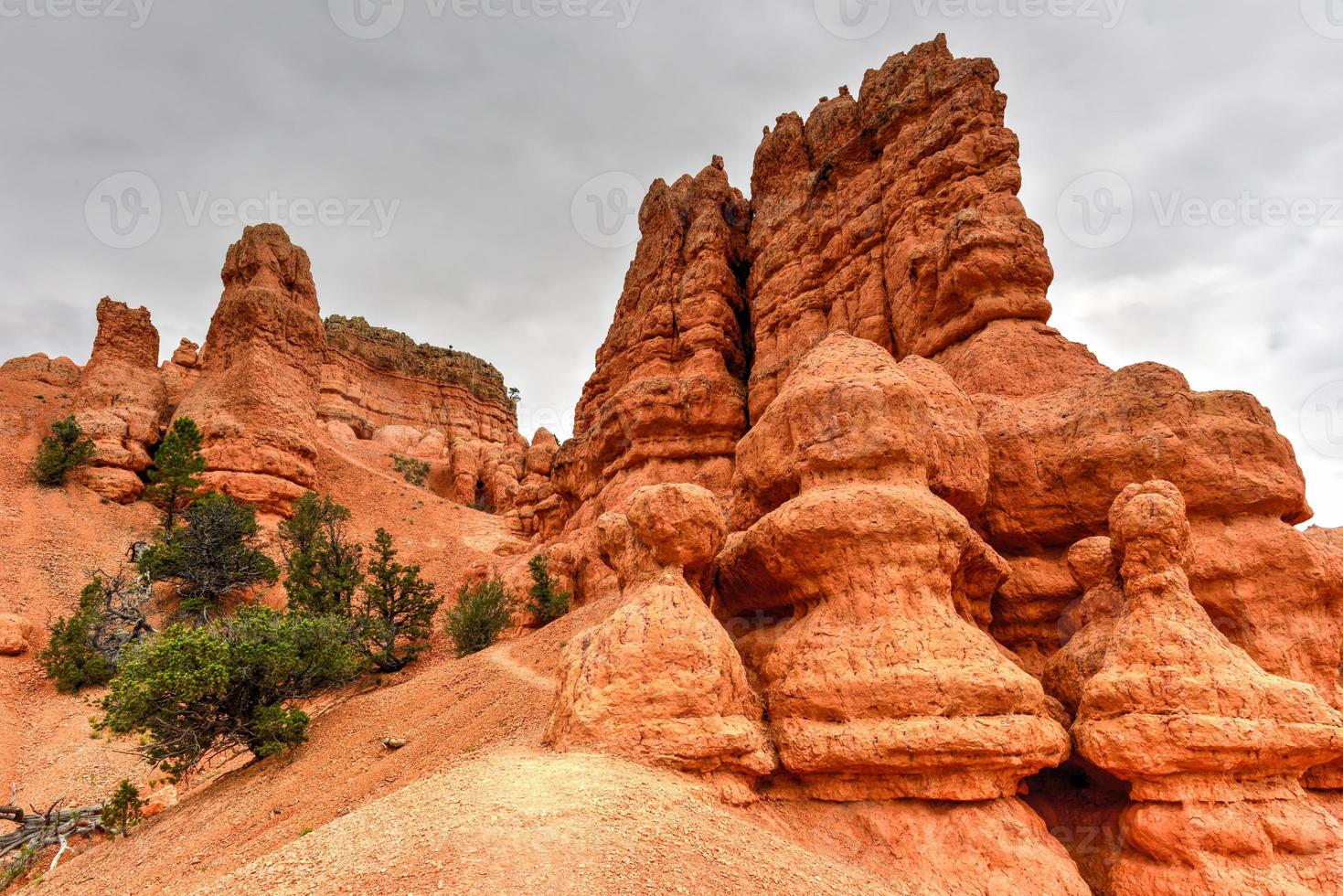 rood Ravijn Bij dixie nationaal Woud in Utah, Verenigde staten. foto