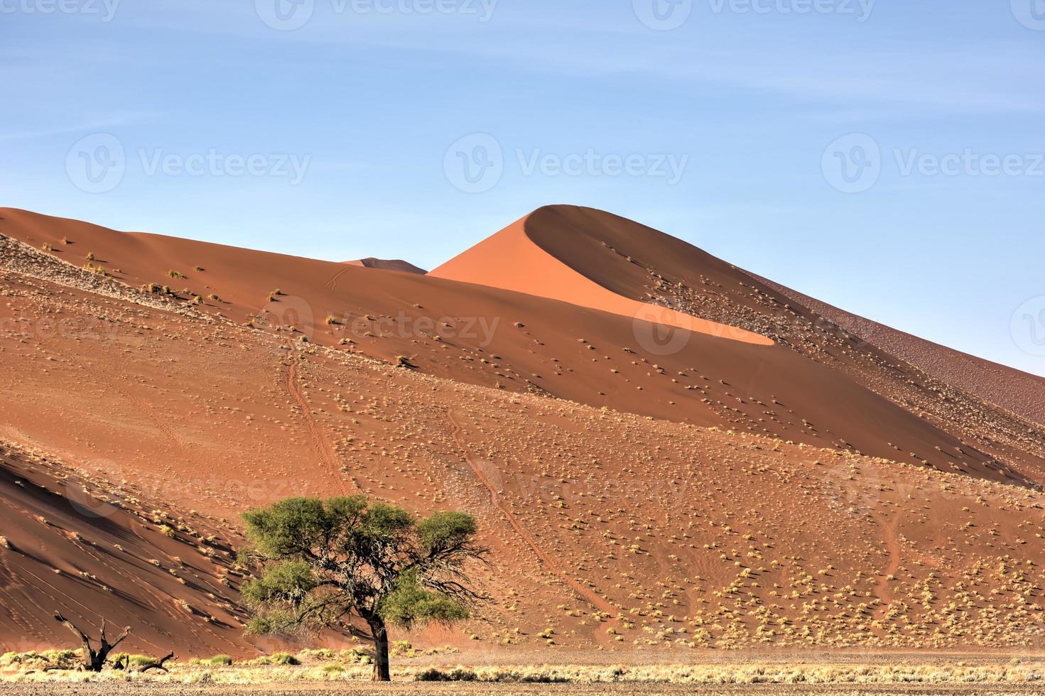 namib woestijn, Namibië foto