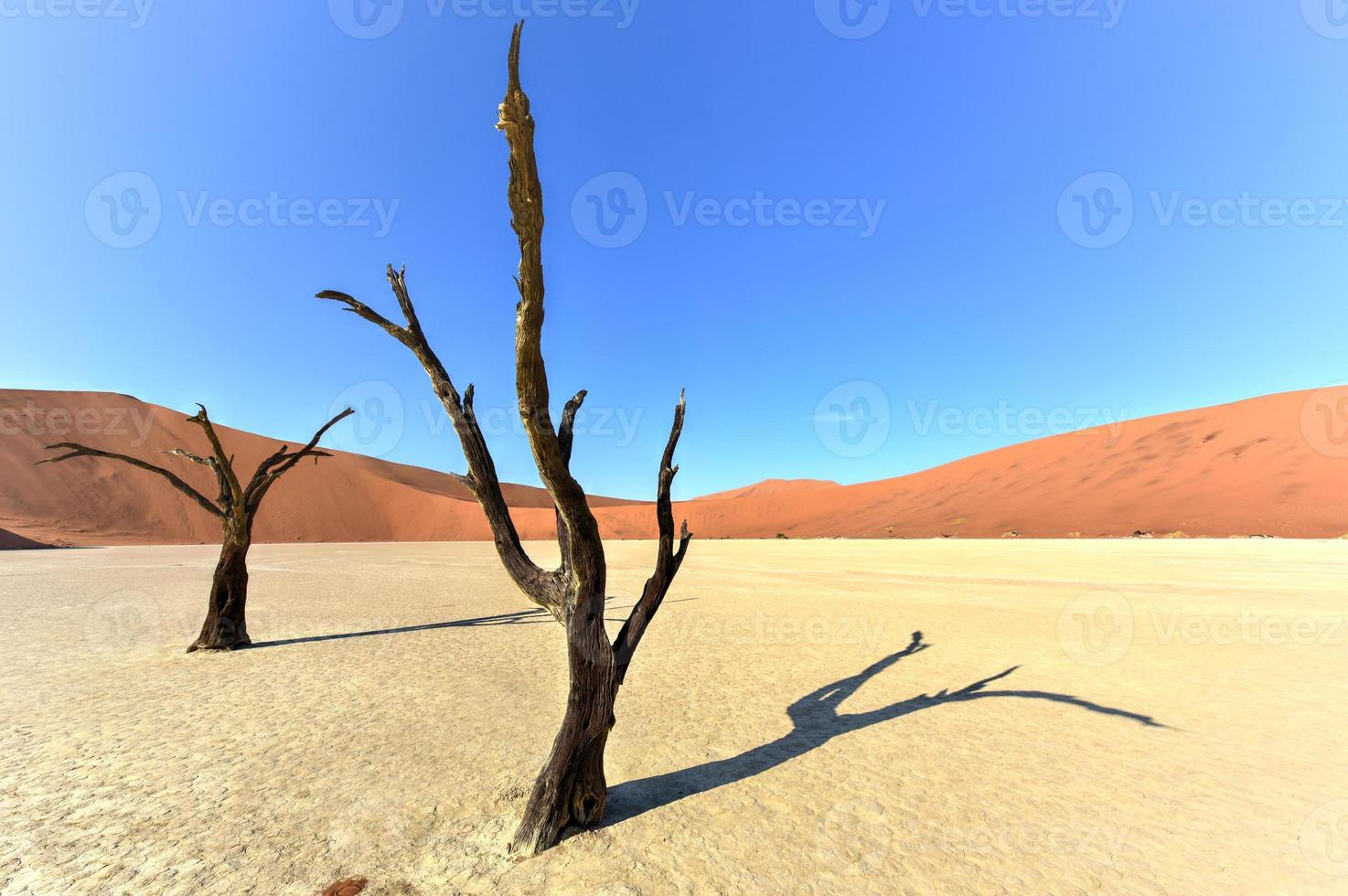 dood vlei, Namibië foto