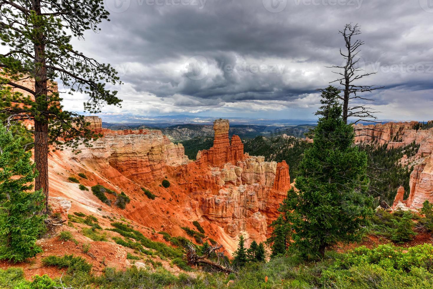 agua Ravijn in Bryce Ravijn nationaal park in Utah, Verenigde staten. foto