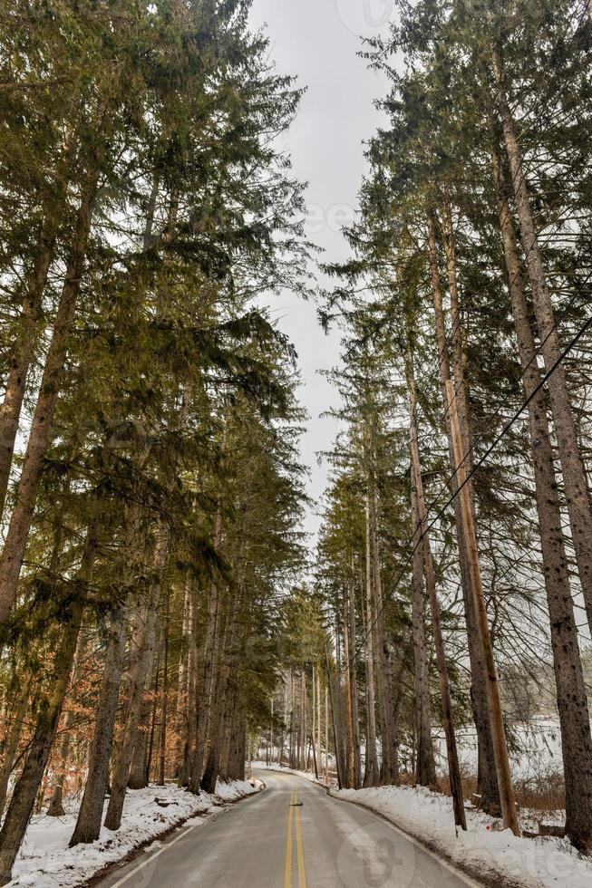 weg en bomen langs quechee rivier- park Vermont gedurende de winter. foto