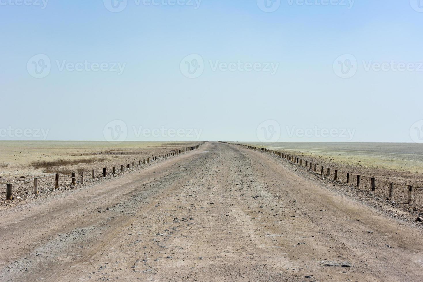 etosha zout pan - Namibië foto