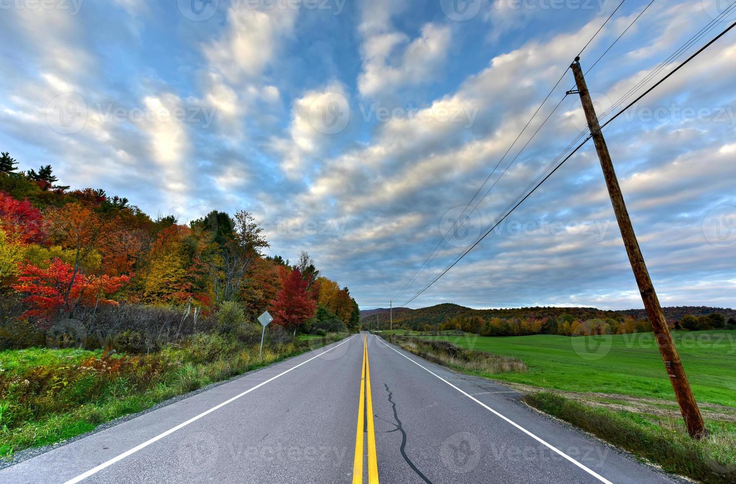 vallen gebladerte Vermont foto