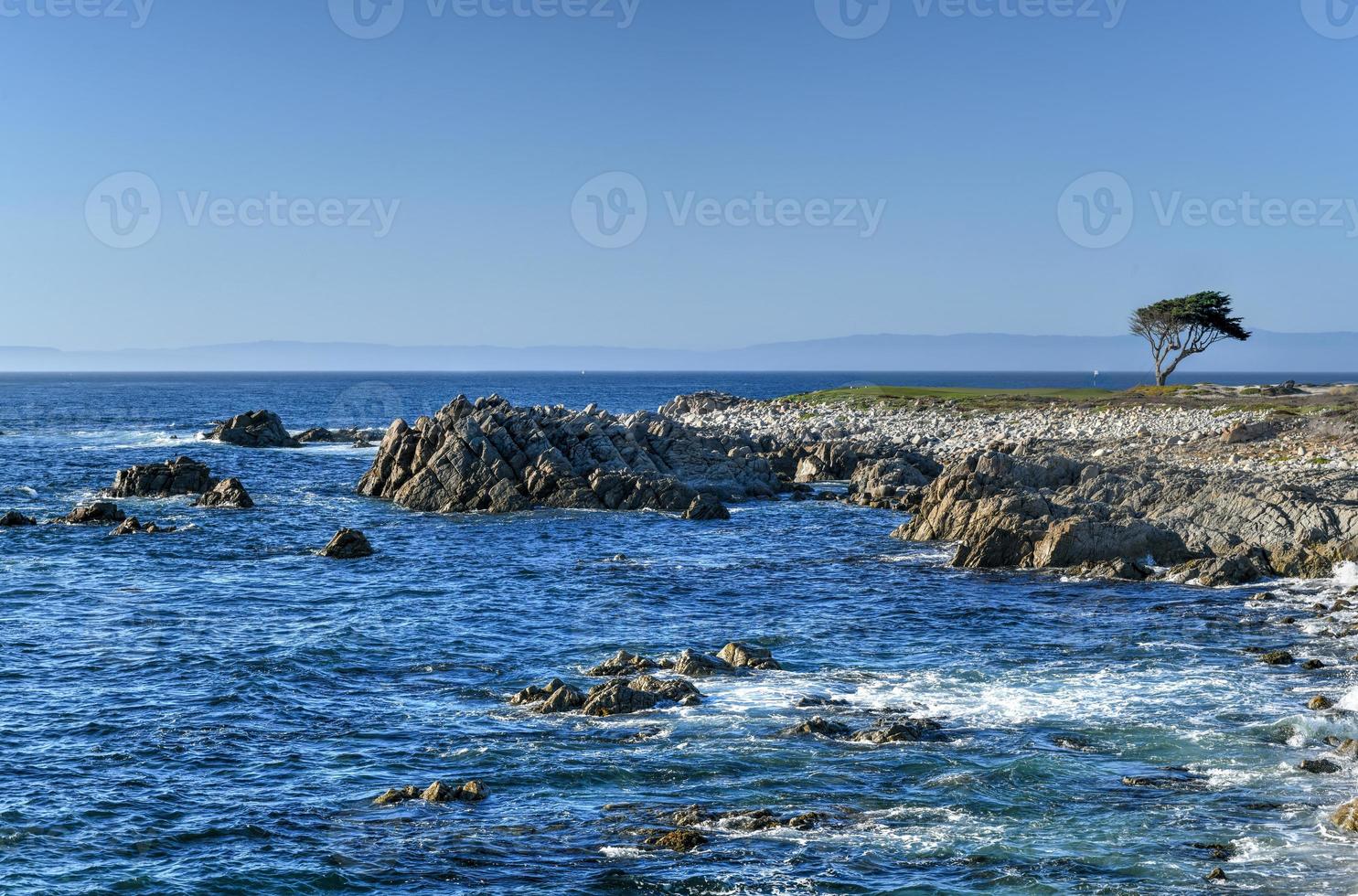 mooi visie van kiezelsteen strand en de Californië kustlijn langs 17 mijl drijfveer. foto