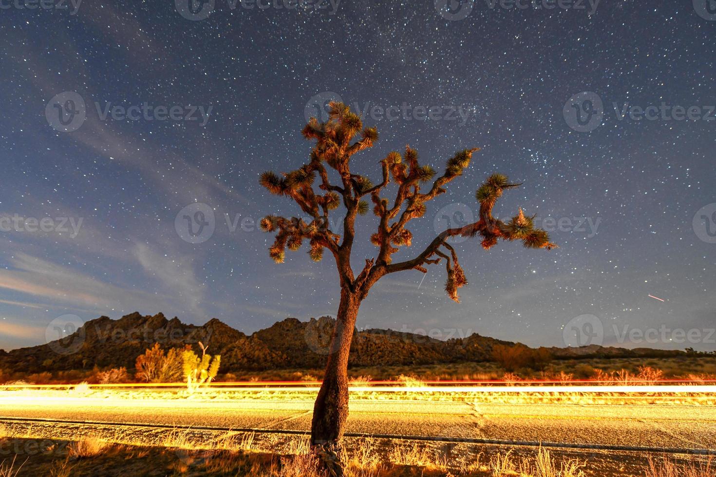 mooi landschap in Joshua boom nationaal park in Californië Bij nacht. foto