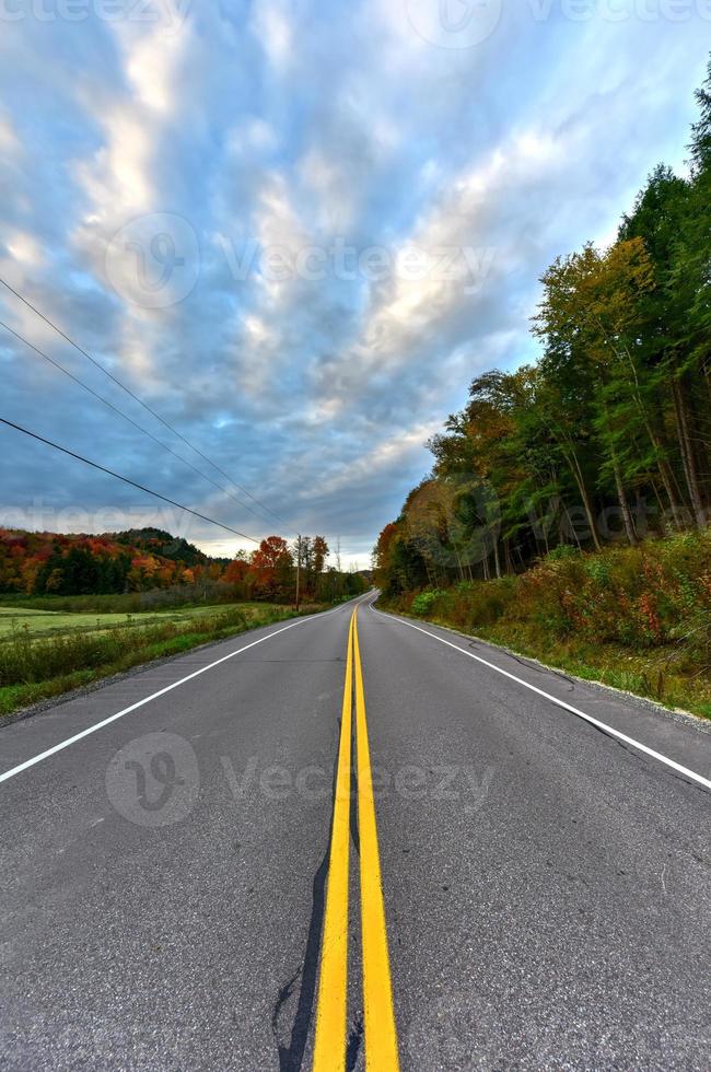 vallen gebladerte Vermont foto