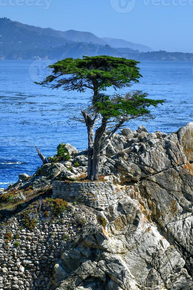 mooi visie van kiezelsteen strand en de Californië kustlijn langs 17 mijl drijfveer. foto