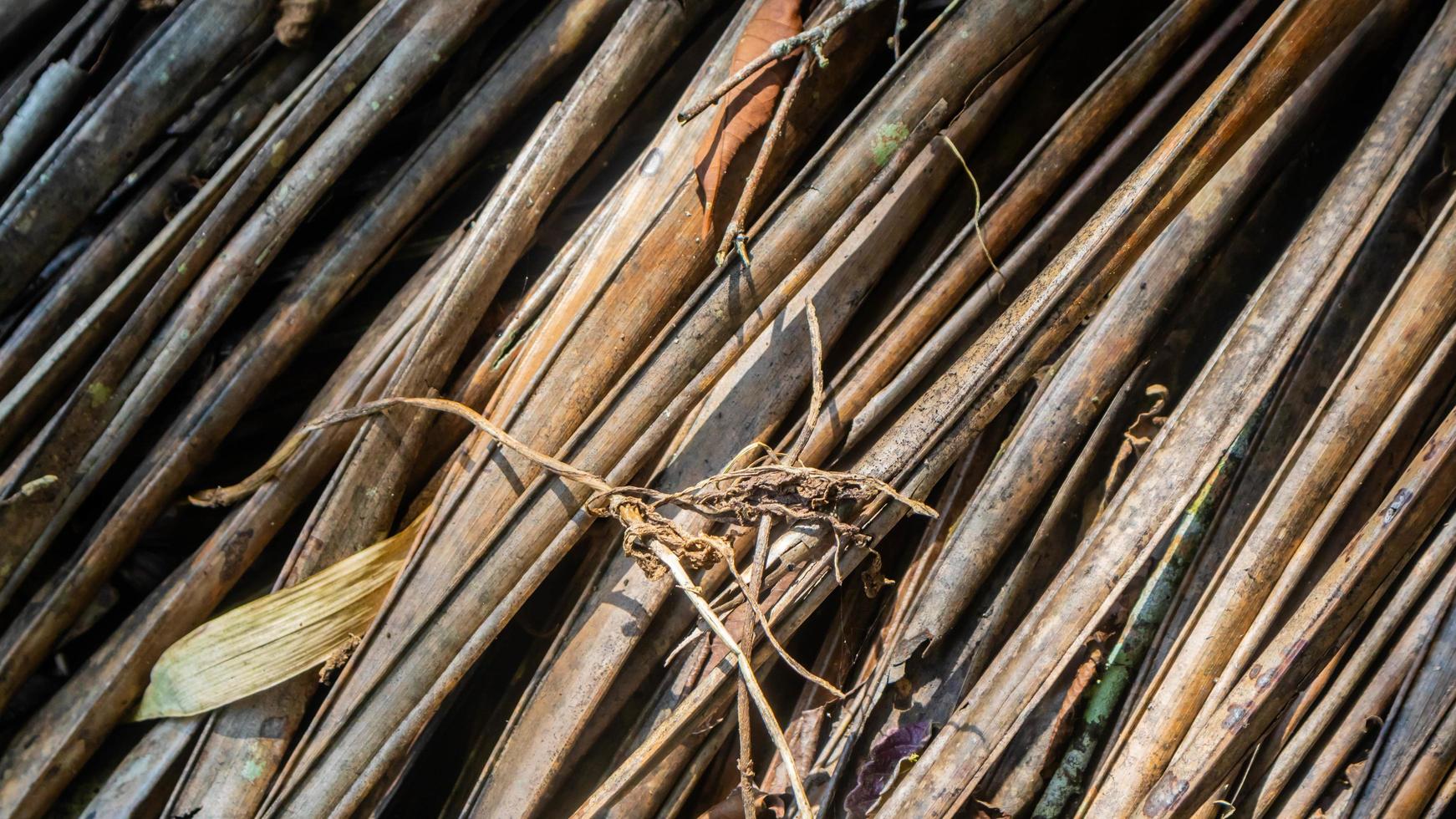 droog palm bladeren structuur net zo achtergrond foto