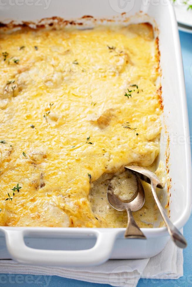 kaas en aardappel gratin foto