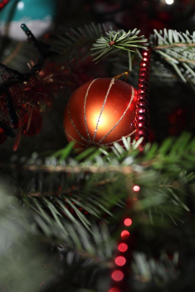 oranje schitteren Kerstmis bal gevonden in een natuurlijk boom foto