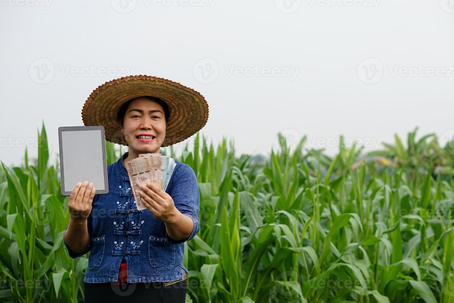 portret van Aziatisch vrouw boer draagt hoed, blauw shirt, houdt Thais bankbiljet geld en slim tablet, staat Bij groen maïs veld. concept , boer krijgt agrarisch ondersteunen geld via mobiel app. foto