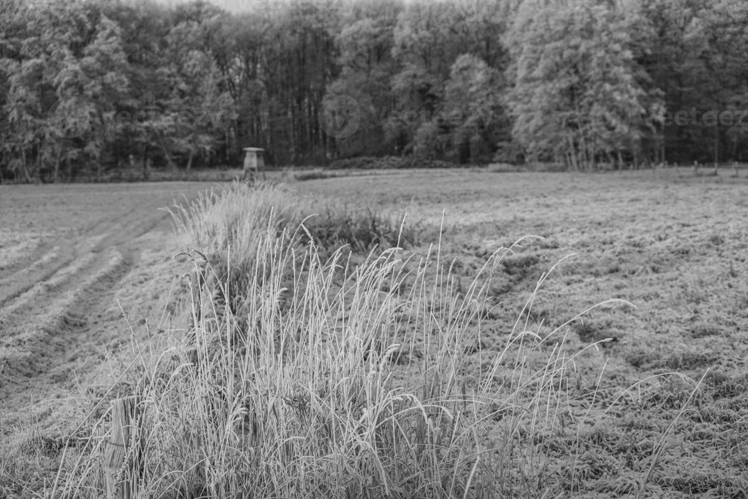 winter tijd in Duitsland foto