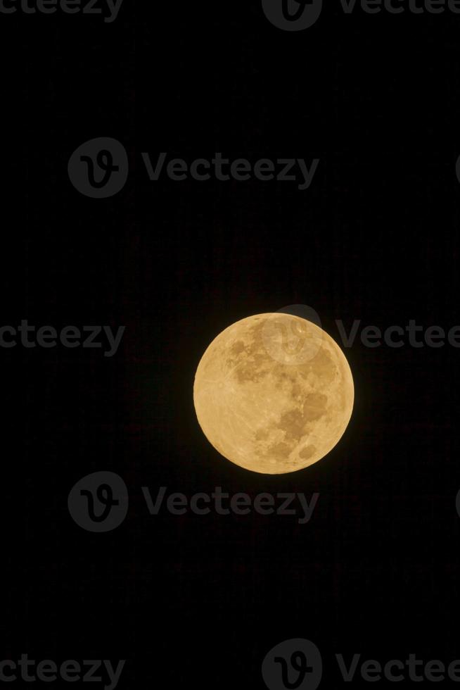 dichtbij omhoog afbeelding van de glimmend vol maan foto