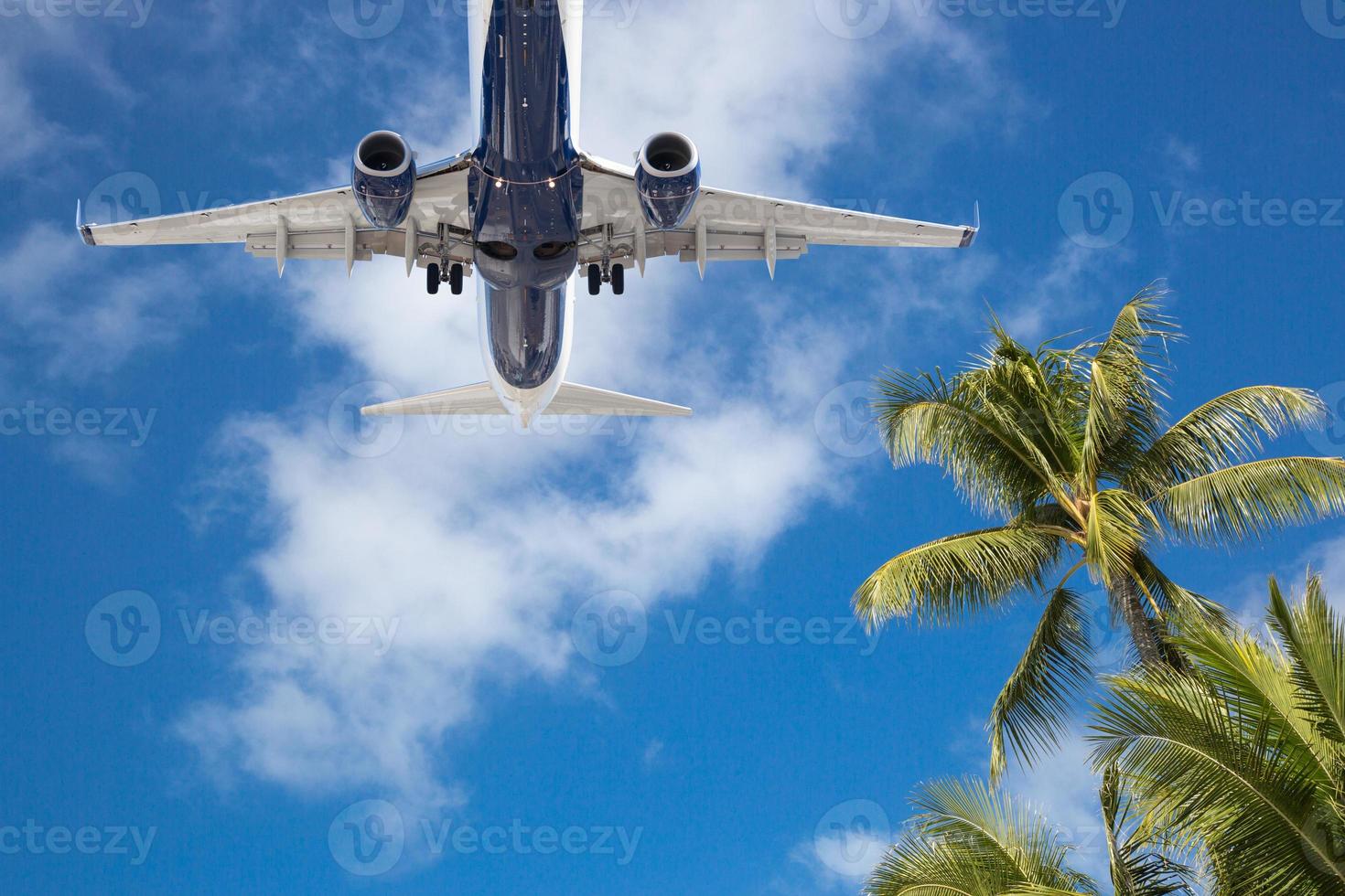 bodem visie van passagier vliegtuig vliegend over- tropisch palm bomen foto