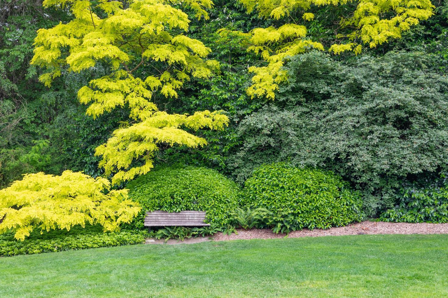 mooi groen tuin instelling met hout bank foto