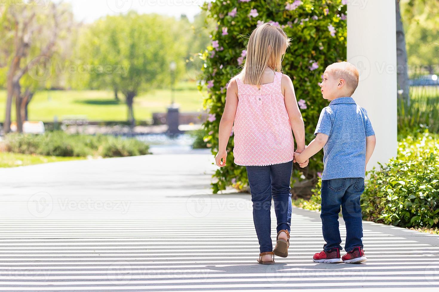 jong zus en broer Holding handen en wandelen Bij de park foto