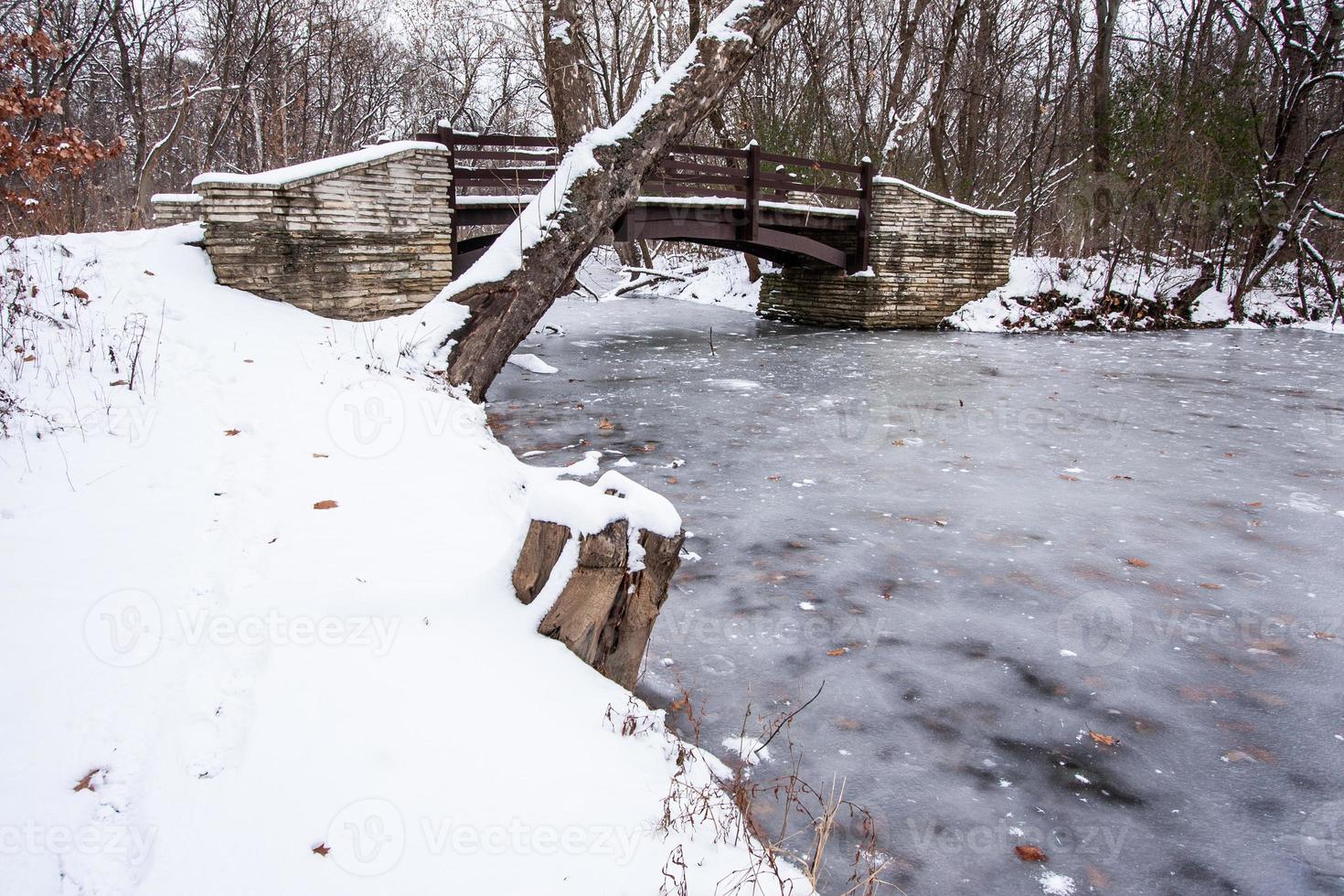 rustiek brug over- bevroren rivier- in winter. foto