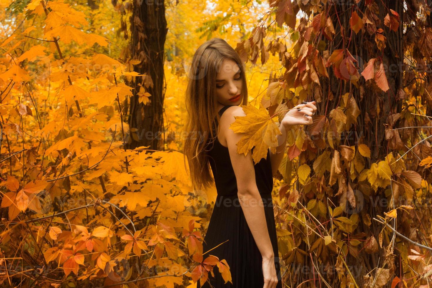 mooi jong meisje in zwart jurk met maken omhoog poseren in gouden herfst Woud foto