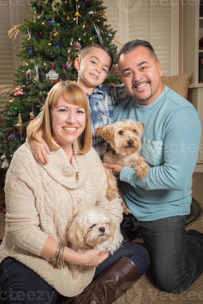 jong gemengd ras familie in voorkant van Kerstmis boom foto