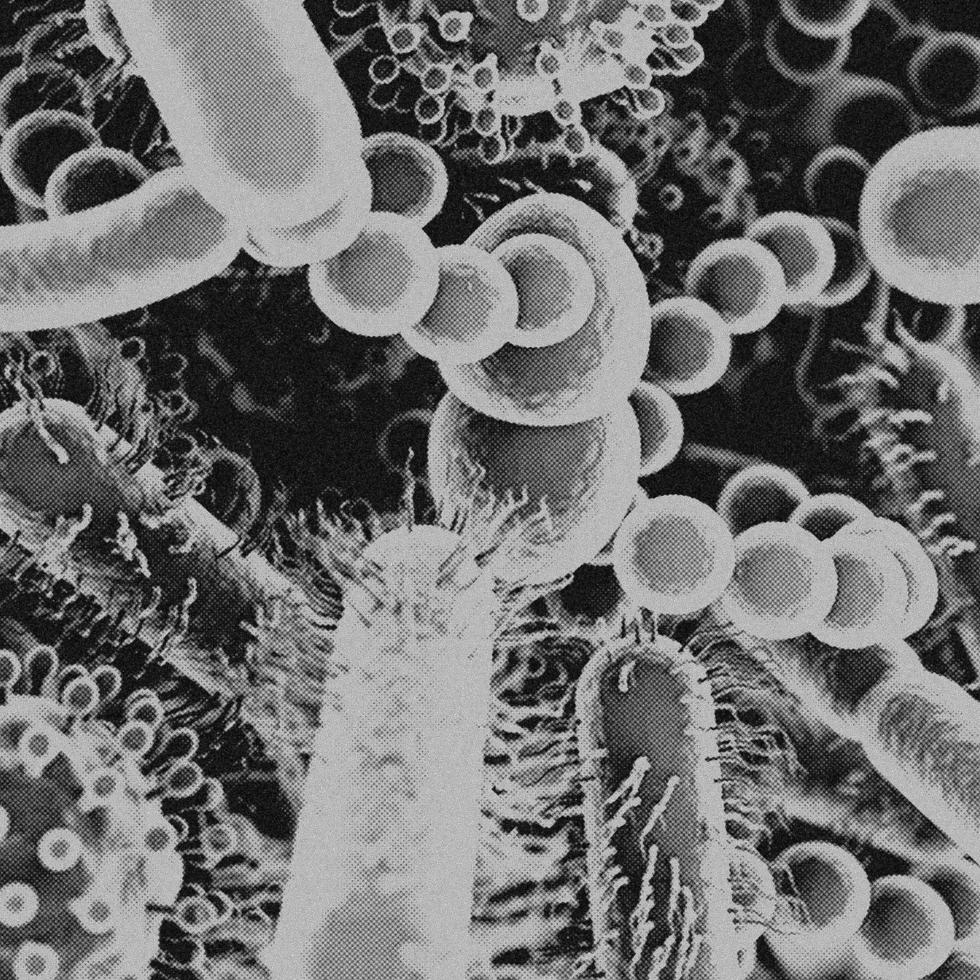 4k afbeelding, virus. microscopisch visie van virussen. cellen, zwart en wit foto
