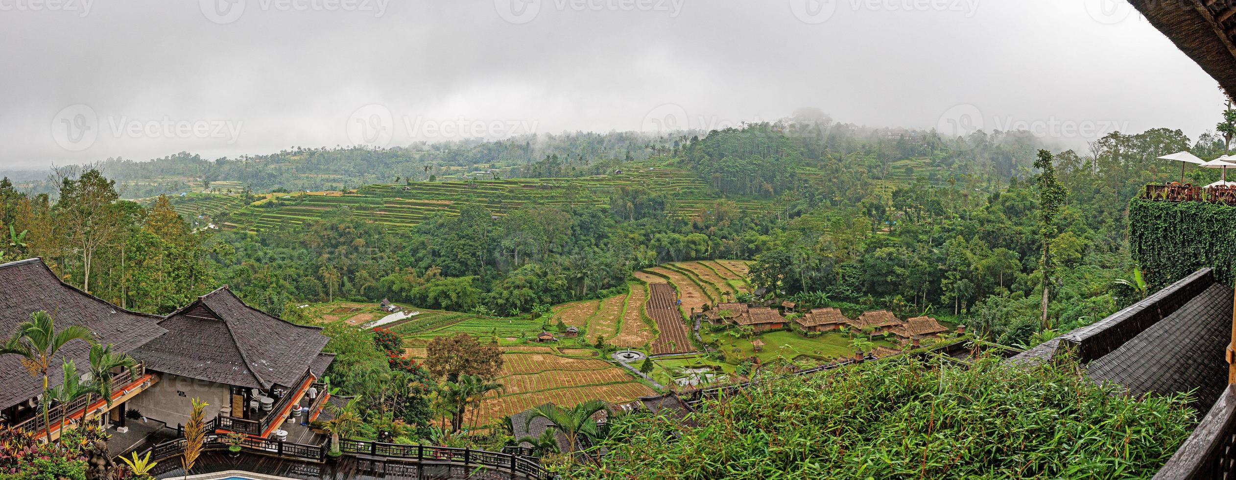 visie over- typisch rijst- terrassen Aan de eiland van Bali in Indonesië foto