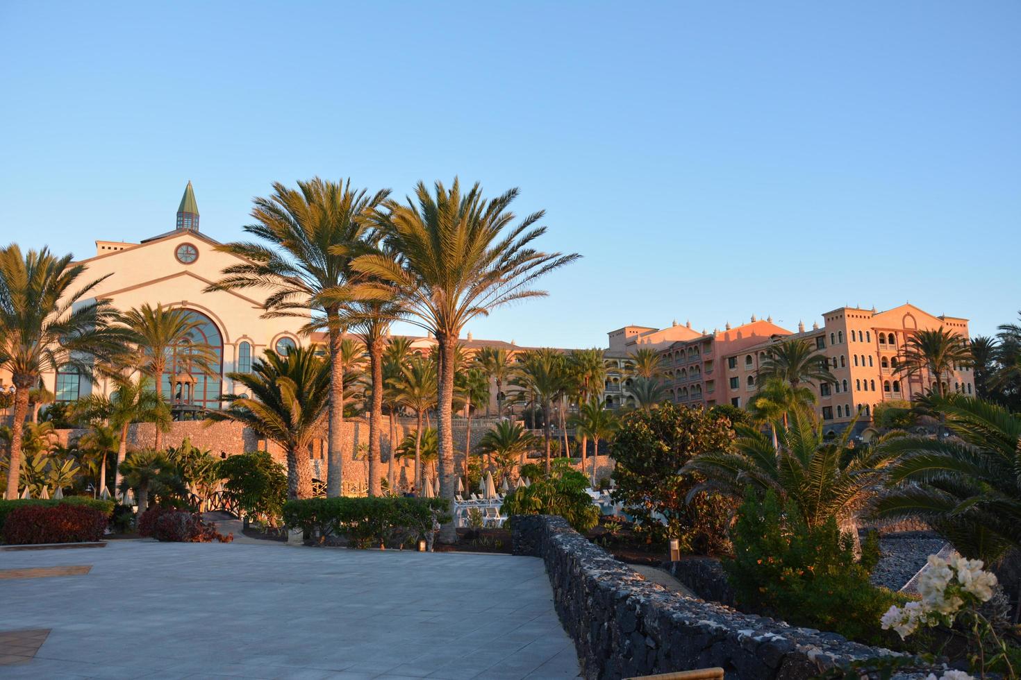 mooi visie naar tropisch eiland toevlucht tuin met palm bomen, bloemen Aan fuerteventura, kanarie eilanden, Spanje, Europa. foto