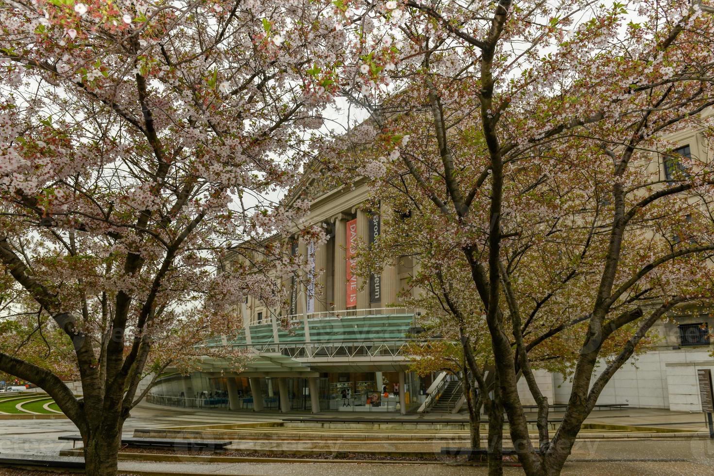 Brooklyn museum van kunst foto