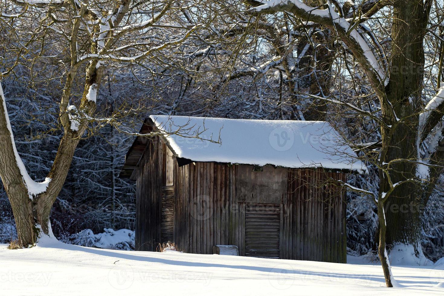 landschap met houten keet in de sneeuw foto