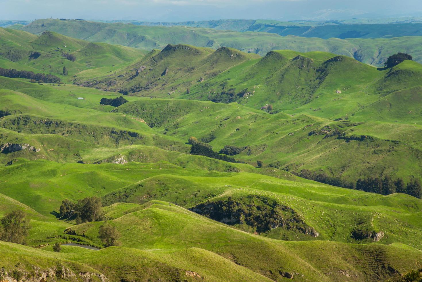 de toneel- landschap visie van hiertaunga vlaktes visie van de top van te mata piek, haviken baai regio, nieuw Zeeland. foto