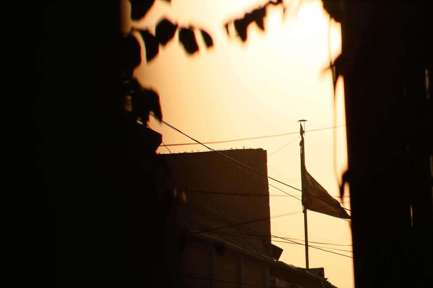 zonnestralen door planten in buitenshuis tuinen in karachi Pakistan 2022 foto