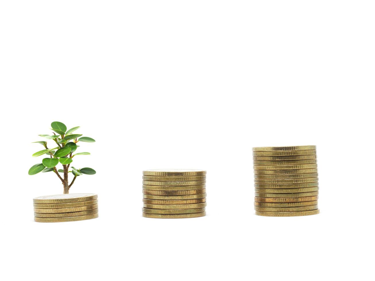 goud munten rangschikking groei omhoog met klein boom groen blad Aan wit geïsoleerd bedrijf economisch concept foto