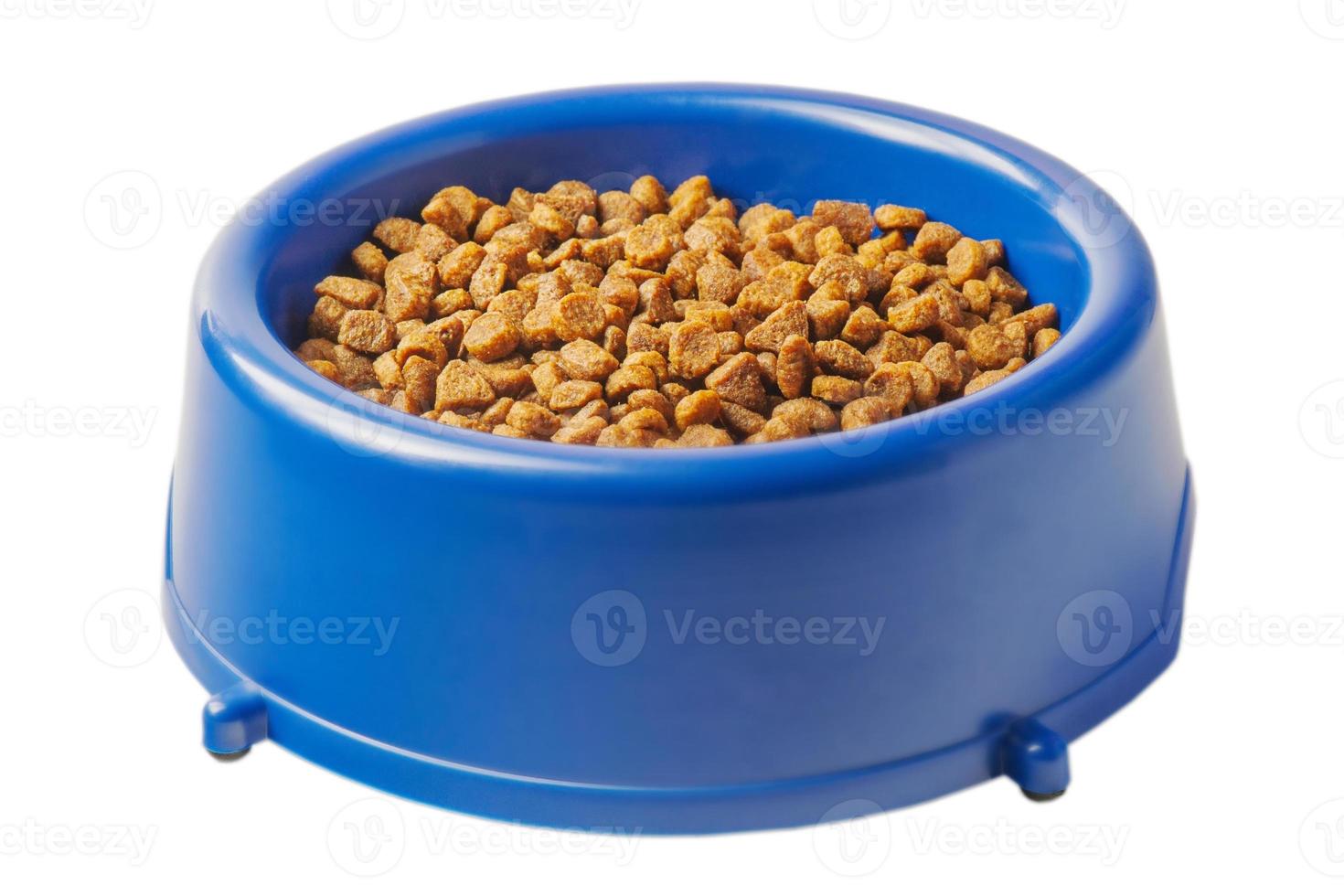 droog huisdier voedsel voor katten of honden in een blauw bord geïsoleerd Aan een wit. evenwichtig droog voedsel voor huisdieren. foto