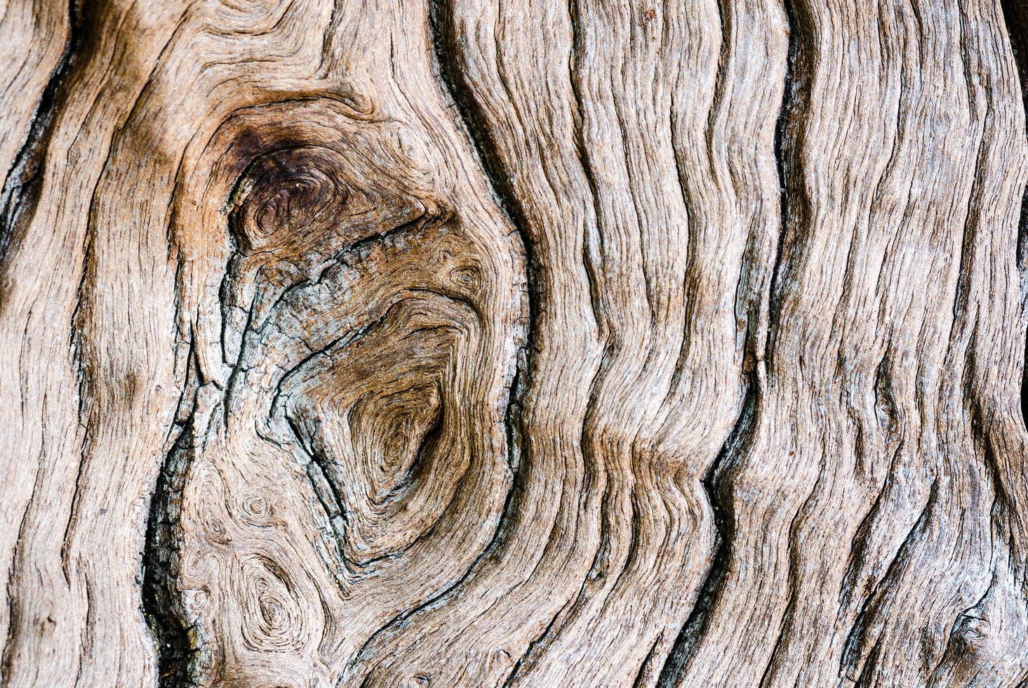 textuur van oud hout foto