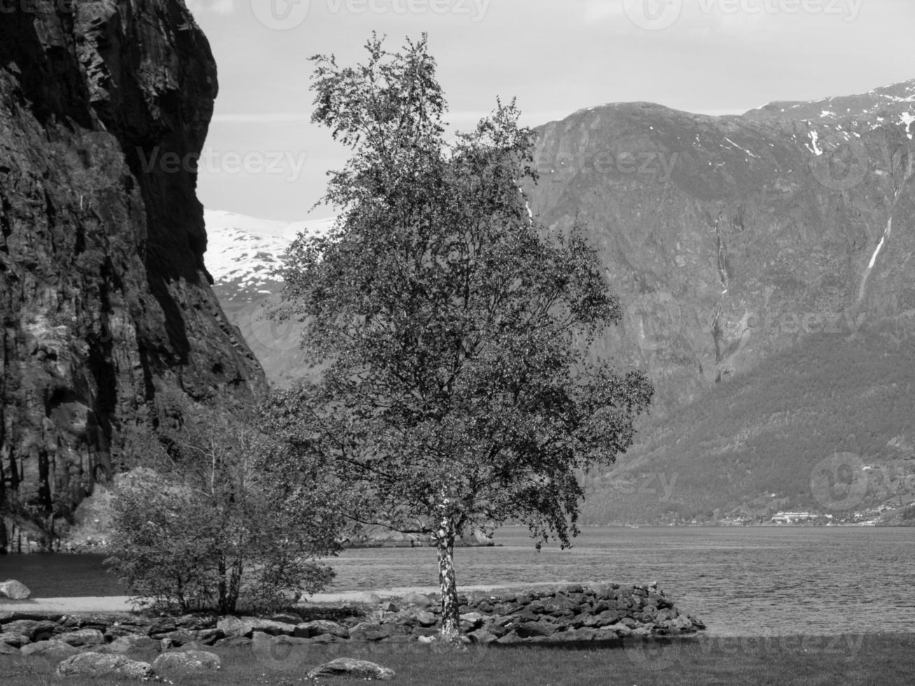 in de Noors fjorden foto