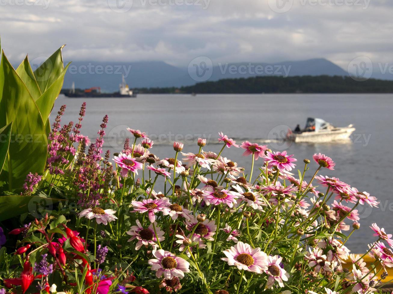 in de Noors fjorden foto