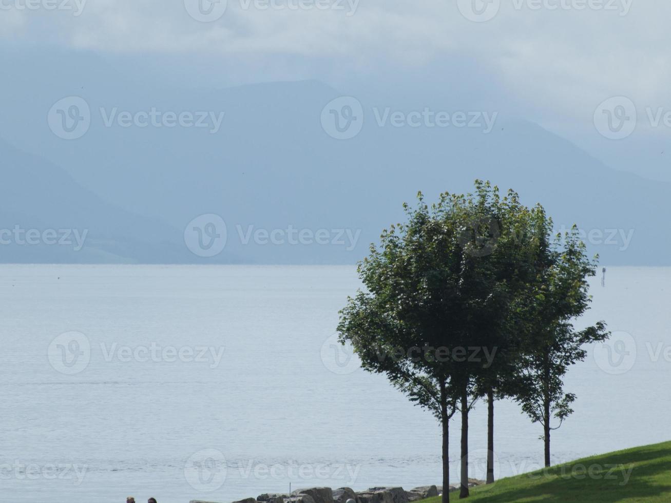 reis in de Noors fjorden foto