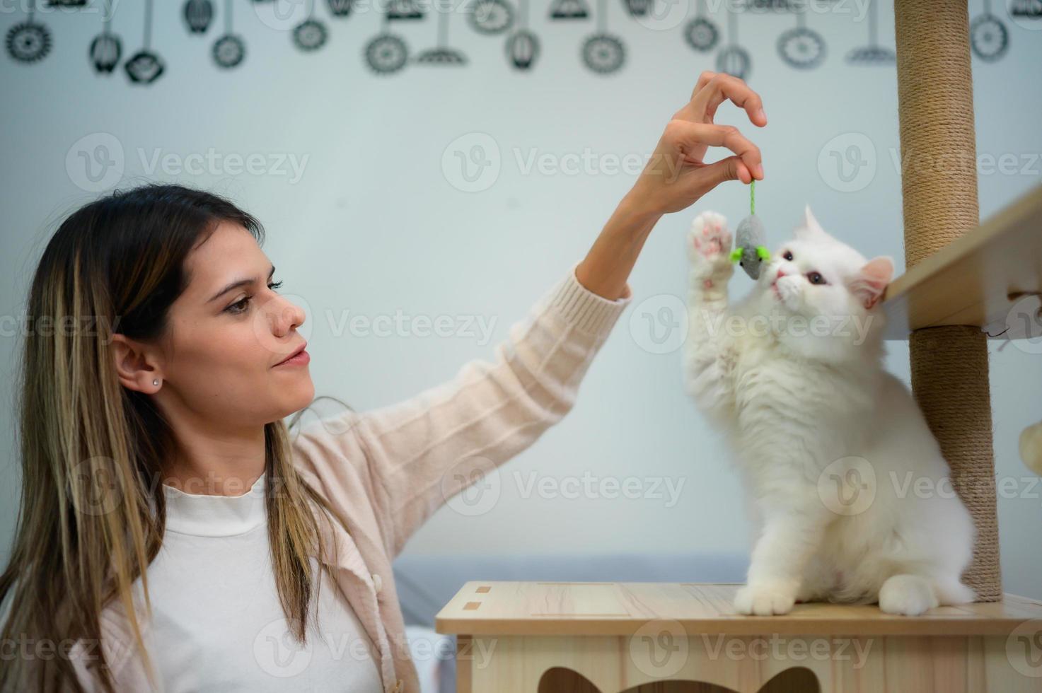 pluizig wit Perzisch kat hebben pret spelen vangst muizen foto