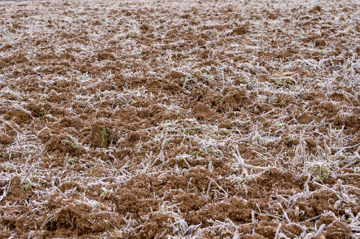 de bodem is gedekt met voorjaar vorst, de grond wordt wakker omhoog na winter, gebarsten bodem en voorjaar ochtenden. foto